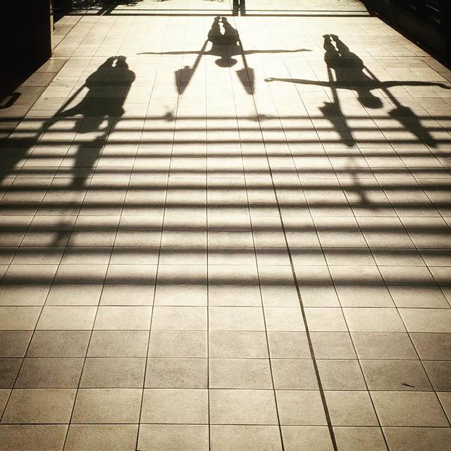 #shadows #antigravity #yoga #hammock #bird #365