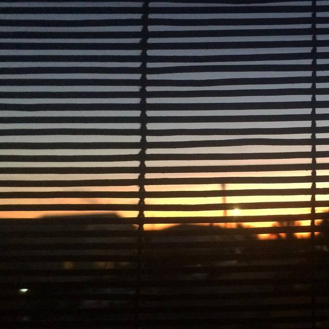 Looking out at the end of the day
#sunset #screen #lines #obscured #365