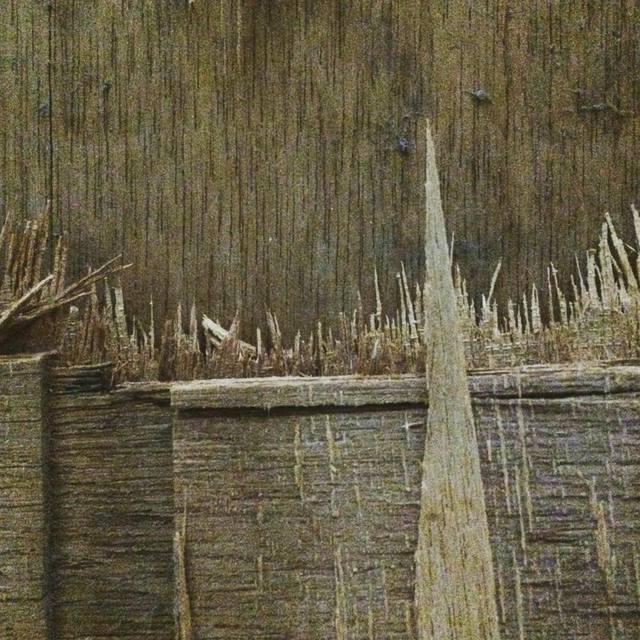 Timber shards 
#brokenply #ply #sharpedges #splinters #texture #grain #woodgrain #365